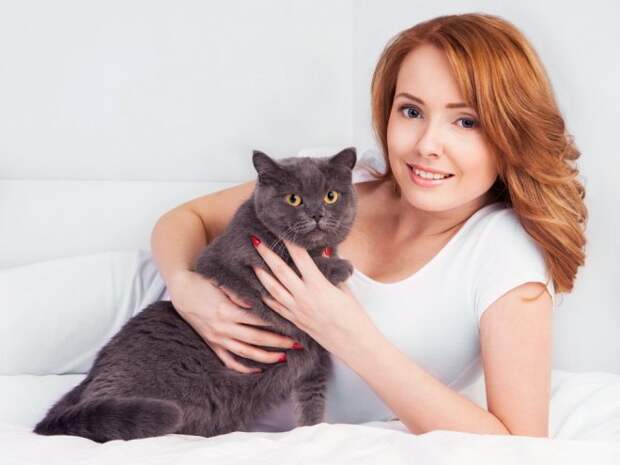 Уход за кошками