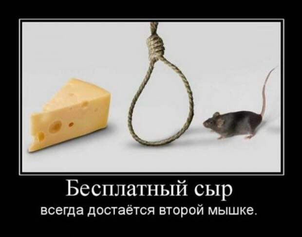 Лучшие демотиваторы со смыслом про дружбу и любовь.