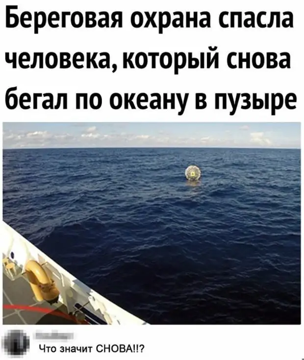 Приколы 2022 года смех до слез картинки с надписями смешные