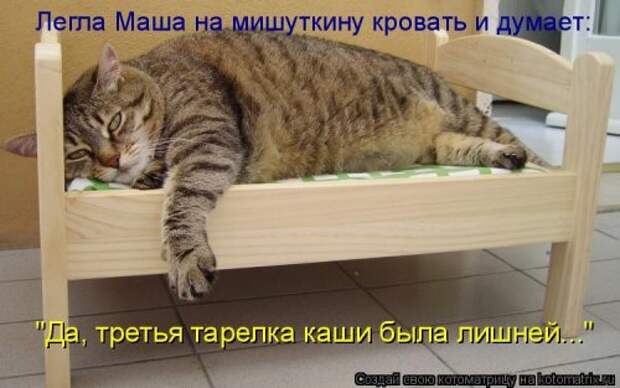 Новая котоматрица (36 фото)