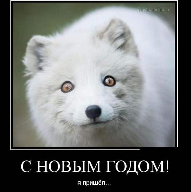 Праздник удался! Поделитесь темой с друзьями!