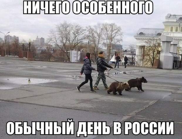 Картинки со смешными подписями картинки, прикол, юмор
