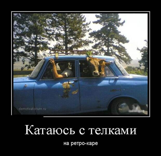 Демотиваторы (30 фото) Демотиваторы (30 фото)