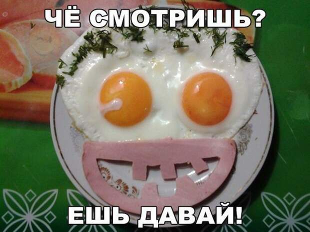 Прикольные картинки. прикол, прикольные картинки, юмор