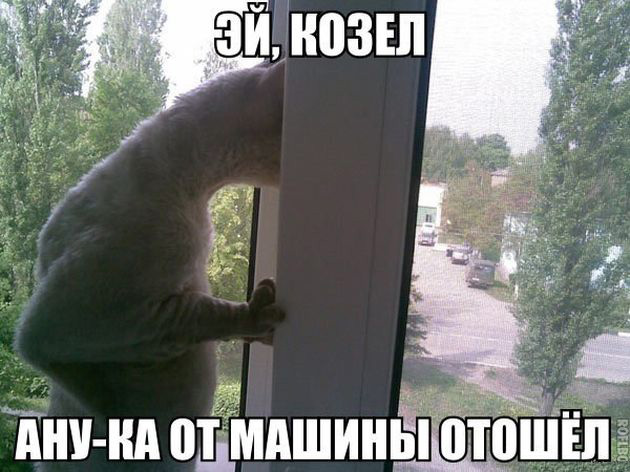Подборка автоприколов. Часть 221 авто, автоприколы, приколы