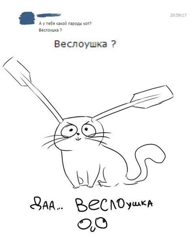 Смешные комментарии из социальных сетей комментарий, прикол, социальная сеть