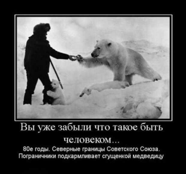 Демотиваторы про русских, наши приколы!