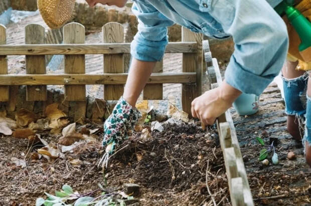 Биолог Воробьев рассказал, навредят ли растениям заморозки в апреле