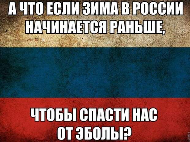 Картинки со смешными подписями картинки, прикол, юмор