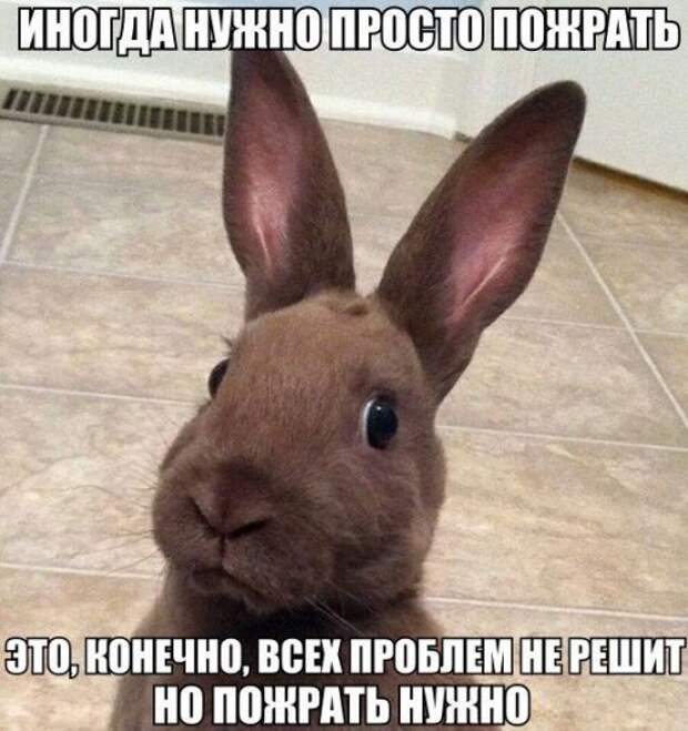 Прикольные картинки (41 шт)