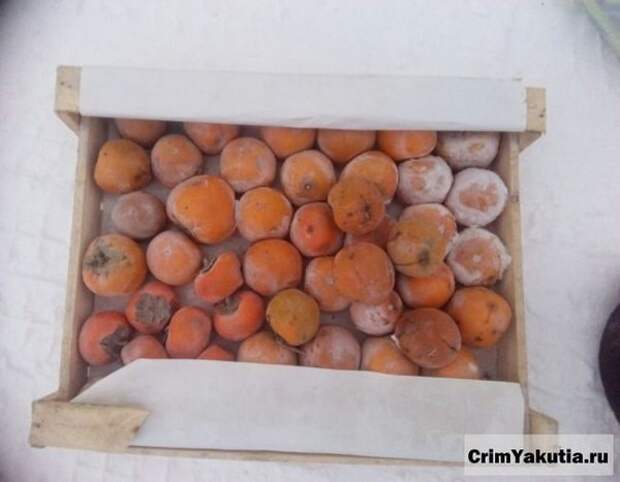 Как жители Якутска помогали дальнобойщику, заморозившему контейнер с фруктами фура, хурма, якутия