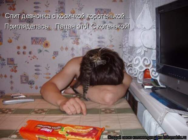 Свежая котоматрица для хорошего настроения (31 фото)
