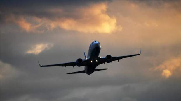 Росавиация временно ограничила работу московских аэропортов