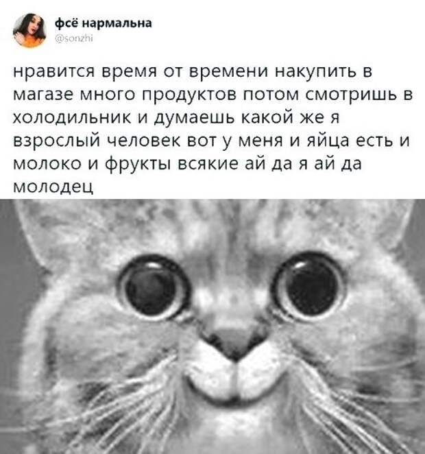 Подборка картинок. Вечерний выпуск (33 фото)