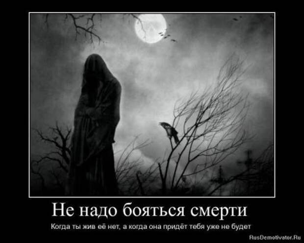 Умные демотиваторы жизненые.