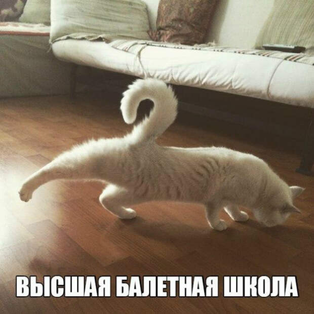 440373_original (600x600, 256Kb)