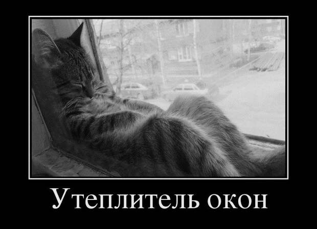 Cвежая порция демотиваторов Cвежая порция демотиваторов