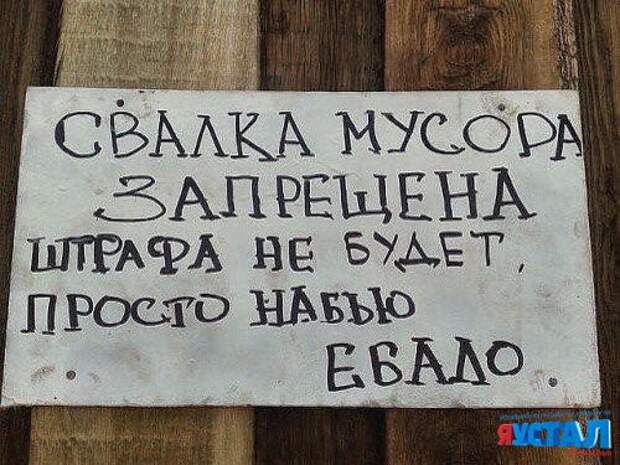 Смешные картинки с надписями прикол, юмор