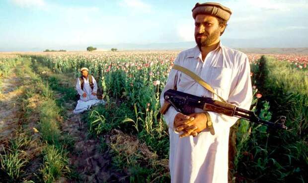 Бюджет «Талибана»*