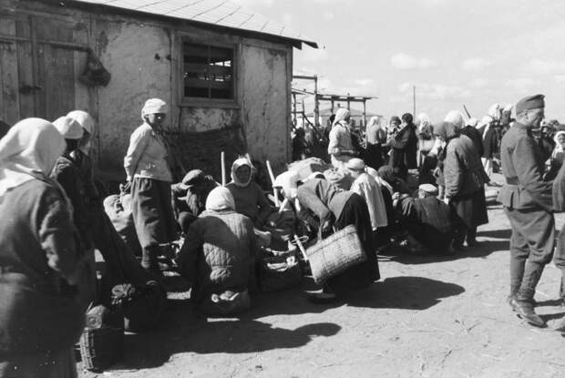 Из альбома венгерского военкора. 1942 год
