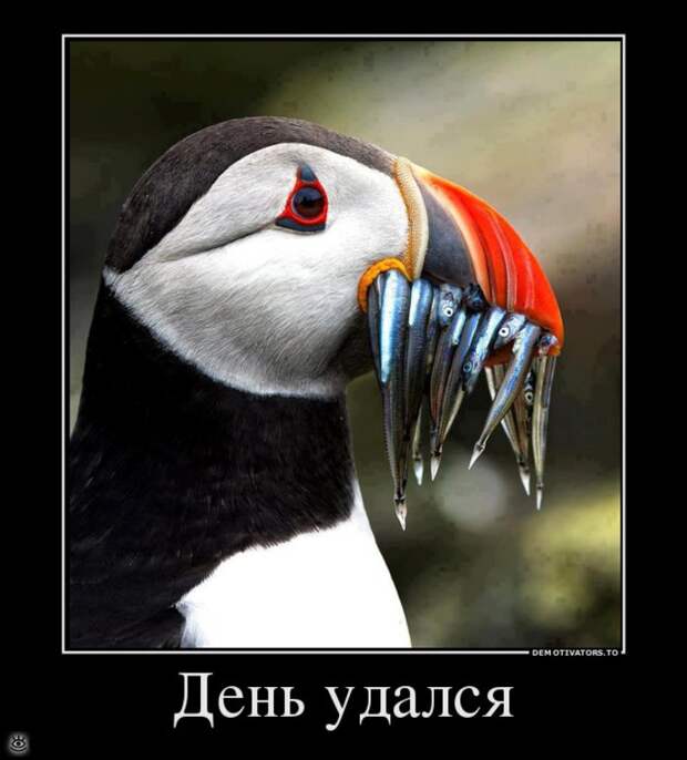Будь реалистом! 32