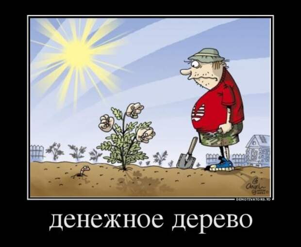Демотиваторы-новинки (18 шт)