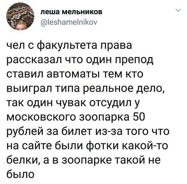 Подборка картинок. Дневной выпуск (26 фото)