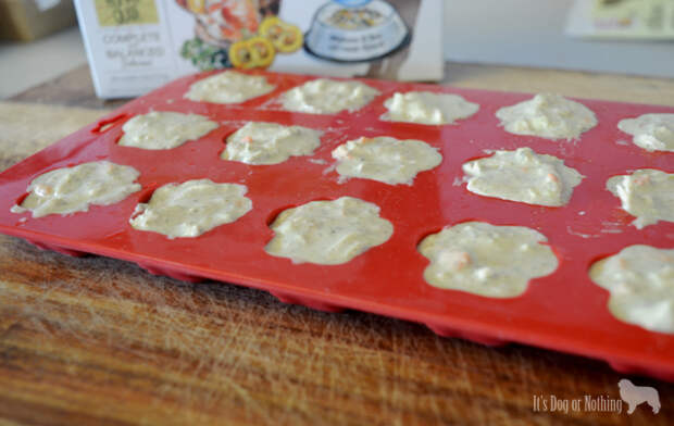 Revel Frozen Treats - The Honest Kitchen
