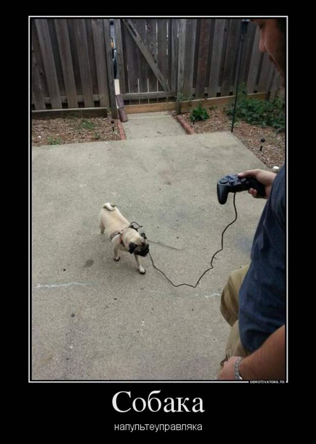 Демотиваторы 