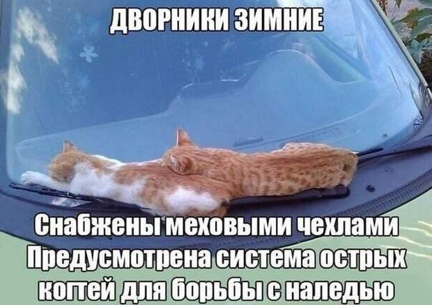 автоприколы