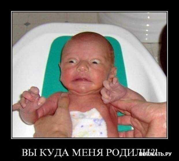 Демы (26 фото)
