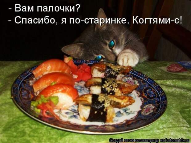 Лучшие котоматрицы недели