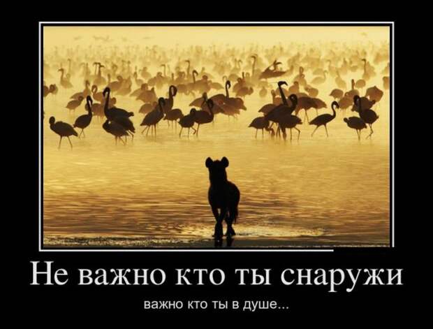 Демотиваторы (30 фото)
