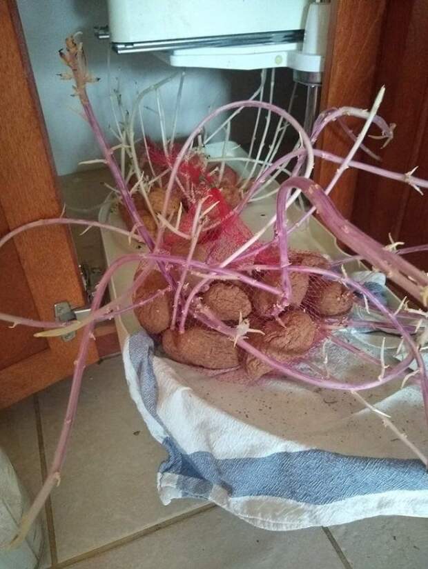 Обычные вещи, которые на снимках выглядят жутковато