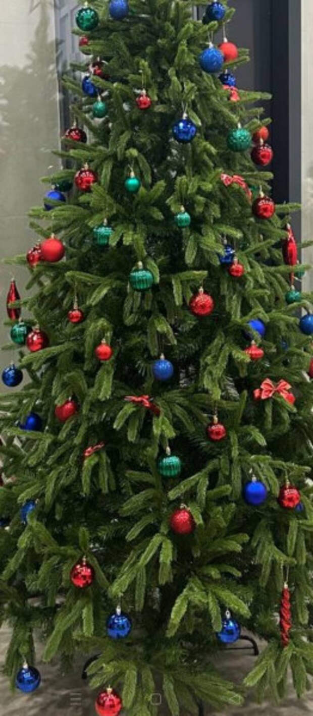 photo_2025-11-30_02-59-26 photo_2025-11-30_02-59-26