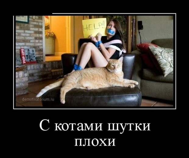 Демотиваторы