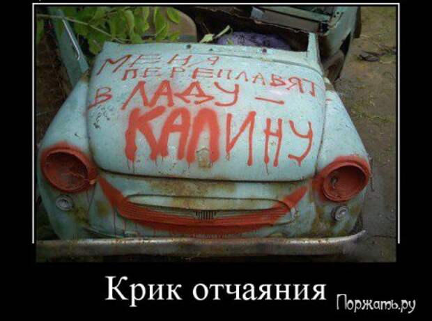 Быстрый поиск Демотиваторов (21 фото)