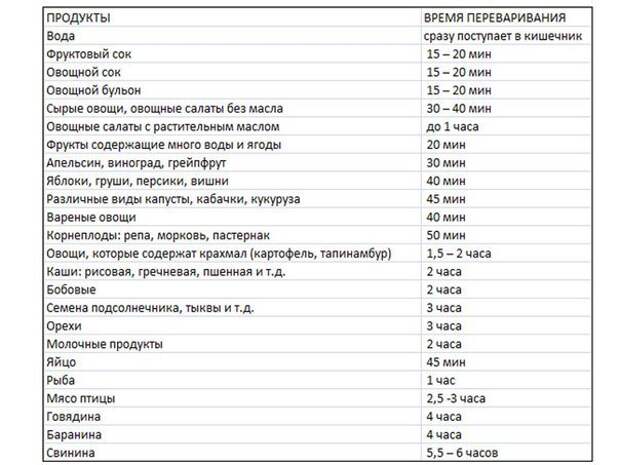 Время переваривания пищи в желудке человека Время переваривания пищи в желудке человека