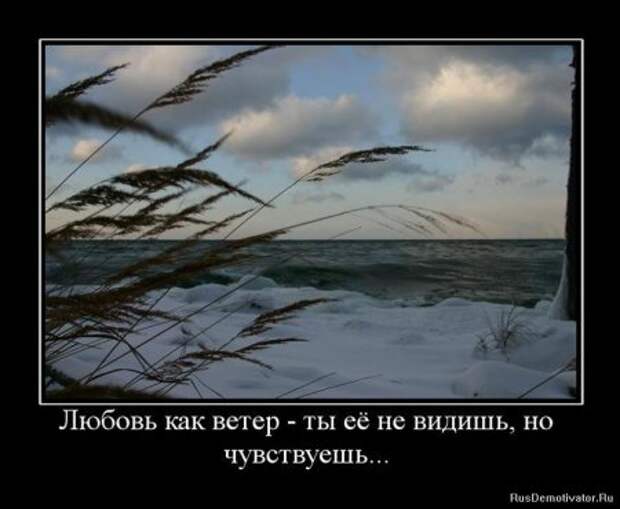 Демотиваторы про любовь и разлуку.