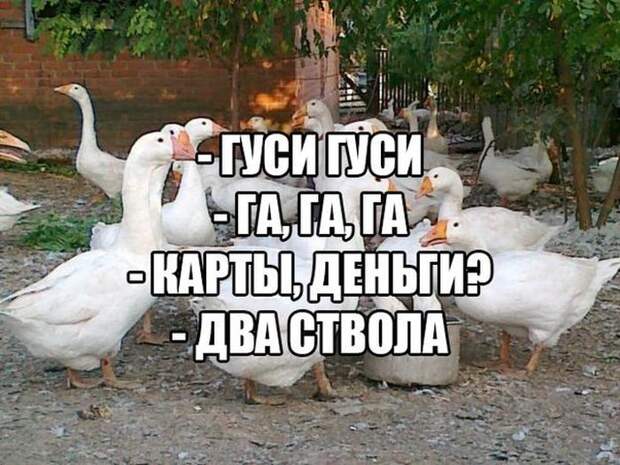 Картинки со смешными подписями картинки, прикол, юмор