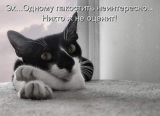 35d67e1e2d0dd55f160b67711b8_prev