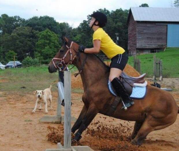 Сплошные казусы и упсы (15 фото)