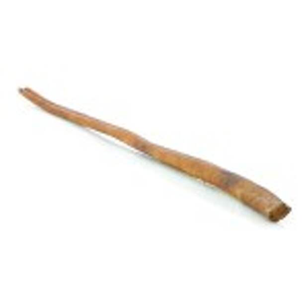 Best Bully Sticks Bully Cane