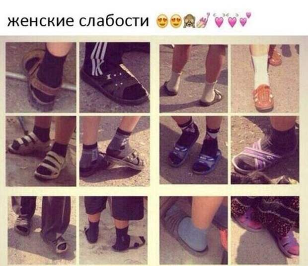 Прикольные картинки (102 фото)