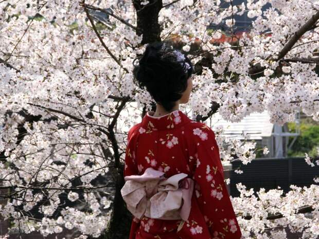 why-kyoto-was-chosen-as-the-best-city-in-the-world-23-photo-proofs-artnaz-com-7