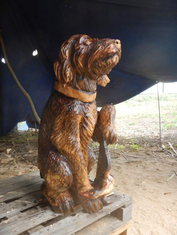 Портрет собаки из дерева - бензопилой Илександр Ивченко, бензопила, своими руками, скульптура, собака