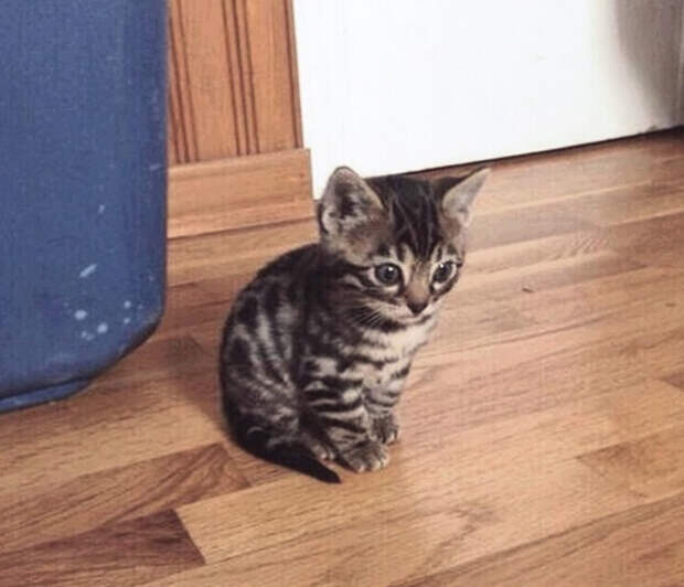 случаи, которые имели место в жизни каждого