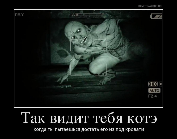 Демотиваторы демотиваторы