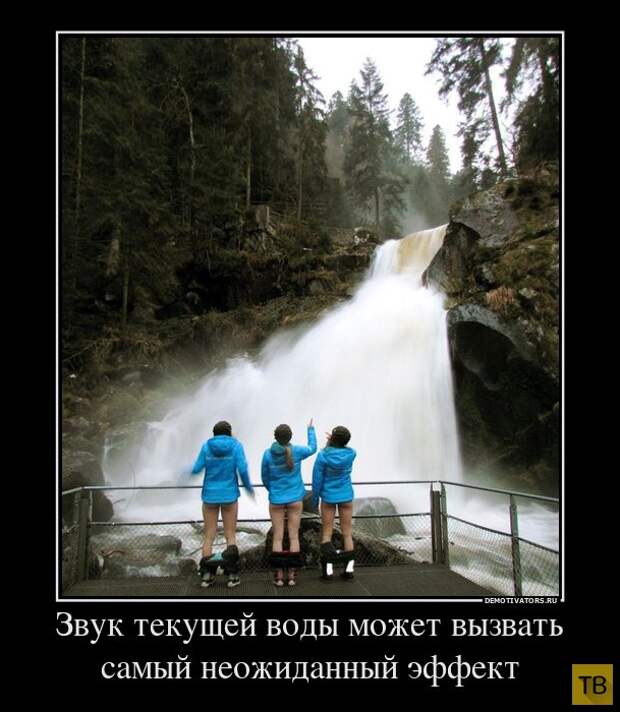 Демотиваторы от 19.05.2015 (43 фото)