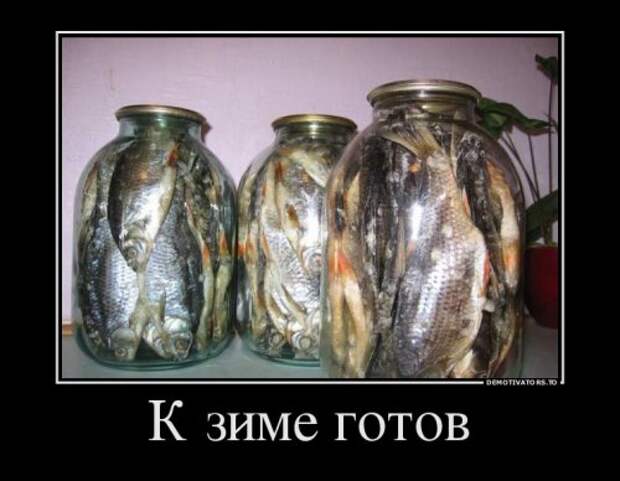 Свежая коллекция демотиваторов (22 шт)